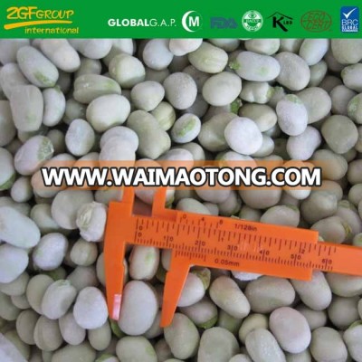 wholesale products China green frozen baby broad bean