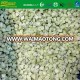 New Season high quality kiwi fruit bulk packing sweet