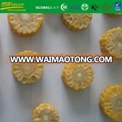 IQF Frozen Whole Chinese Sweet Corn Cob