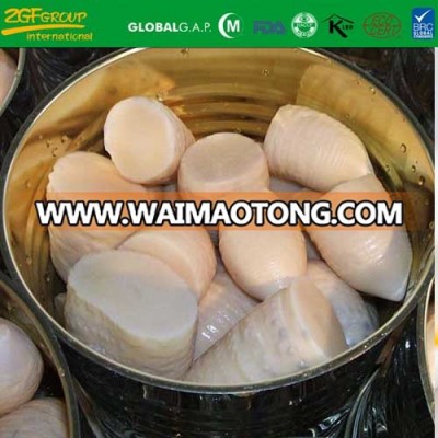 canned bamboo