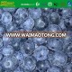 IQF blueberries all natural