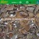 black fungus mushroom food /wood ear/ black fungi