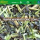 frozen seasoned japanese greens komatsuna vegetables foods