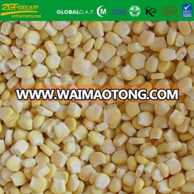 IQF Frozen Whole Chinese Sweet Corn Kernel