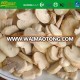 IQF frozen sliced white button mushroom