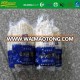 New Crop Fresh Needle Mushroom