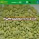 big white kidney bean, large white kidney bean,lima bean