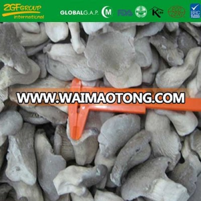 IQF frozen baby oyster mushroom