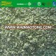 IQF frozen parsley
