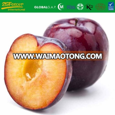 sweet sour plum