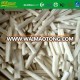 frozen burdock root