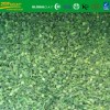 IQF frozen chive cut with good taste