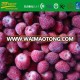 good taste quick IQF segana variety strawberry fruit carton packing brc