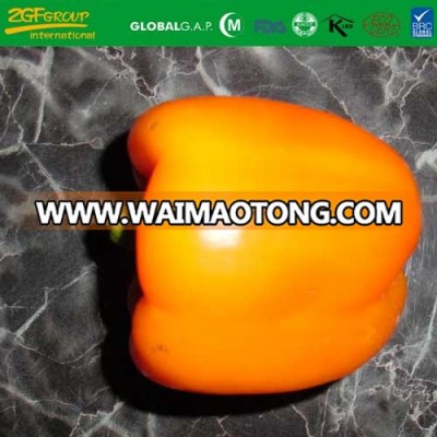 sweet yellow capsicum frozen yellow pepper cup