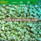 New Season high quality kiwi fruit bulk packing sweet