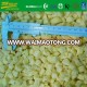 IQF frozen ginger diced