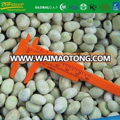 China brands frozen iqf baby broad beans
