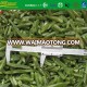 IQF frozen sliced romano bean